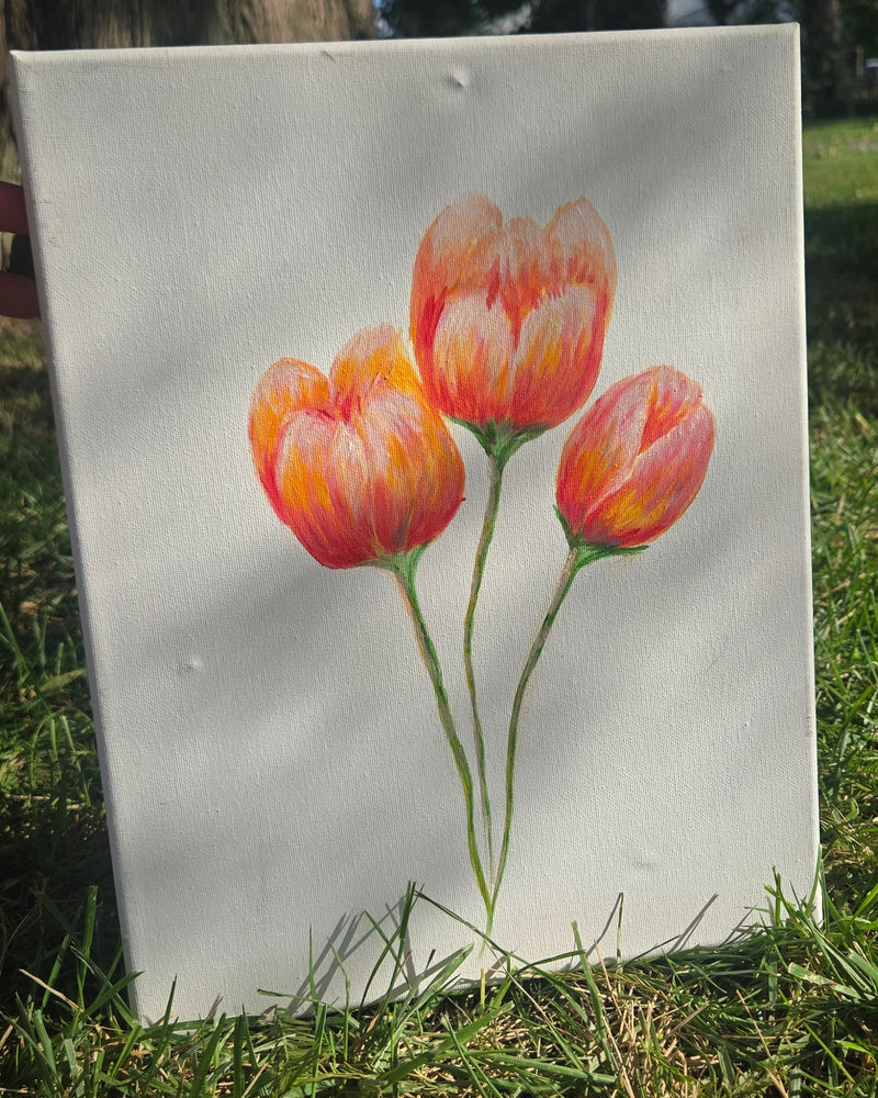 Tulip Triangle