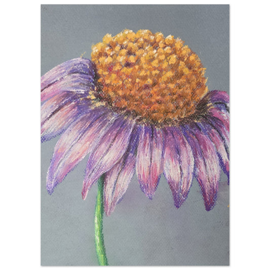 1b9a60ce-2298-4800-86ce-4795c0052d60