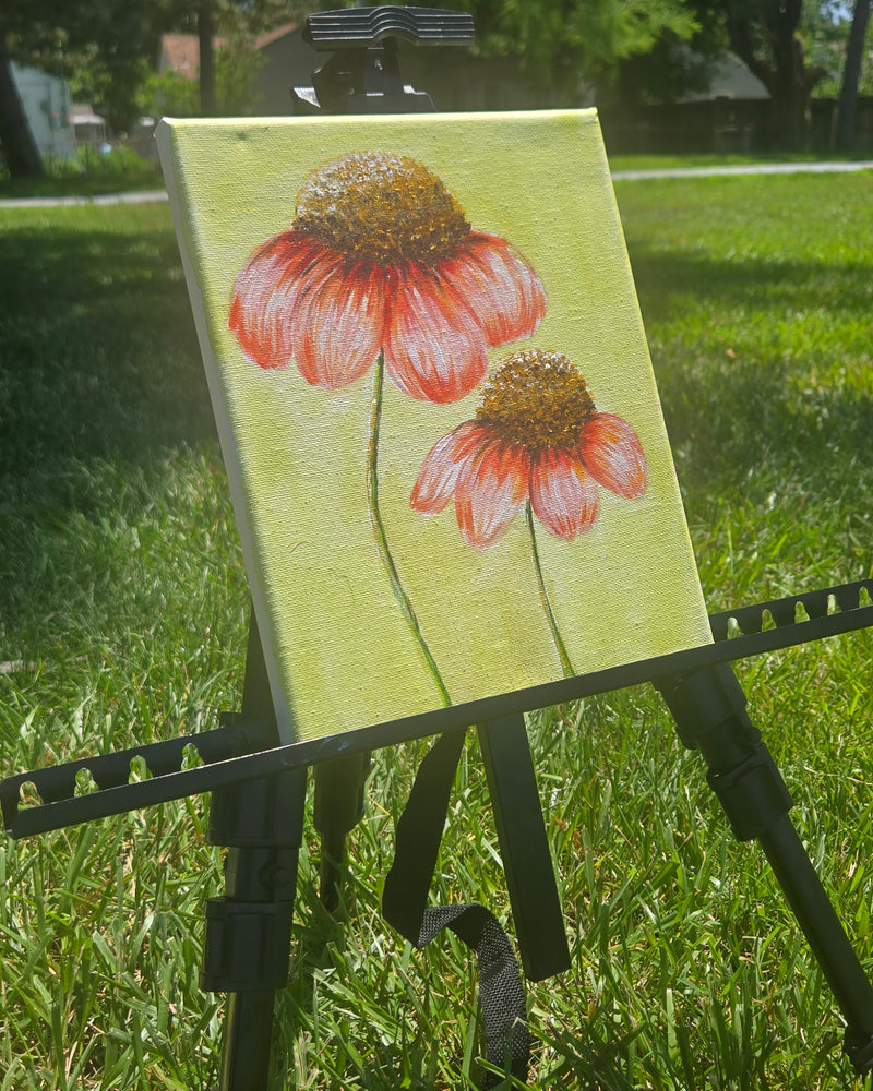 Coneflower Dream