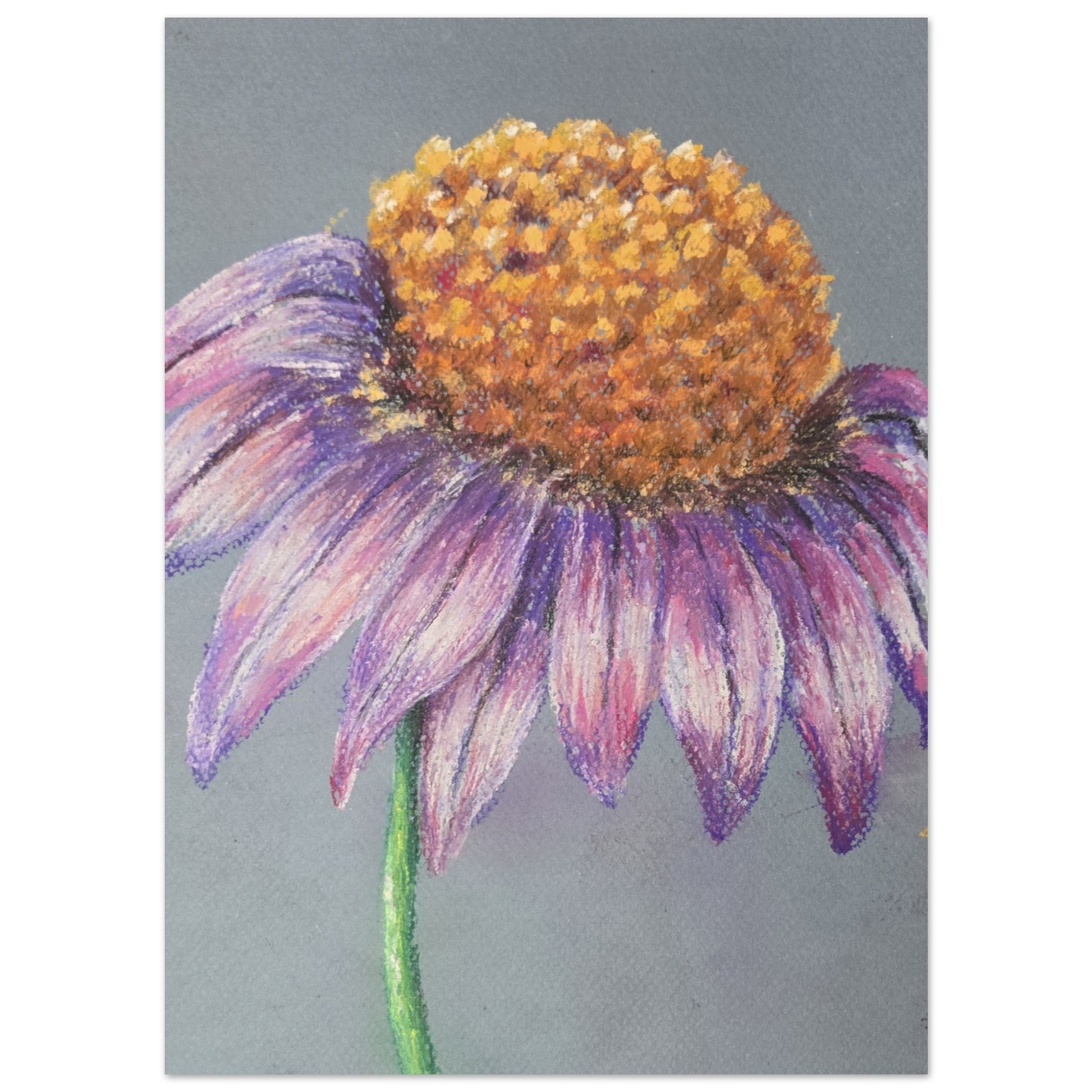 1b9a60ce-2298-4800-86ce-4795c0052d60