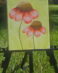 Coneflower Dream