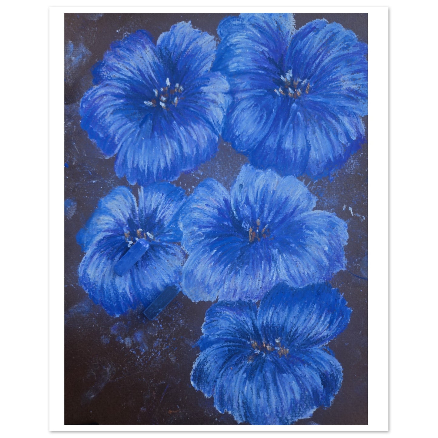 247a82e5-297d-483b-a570-8b2ddf7351b4