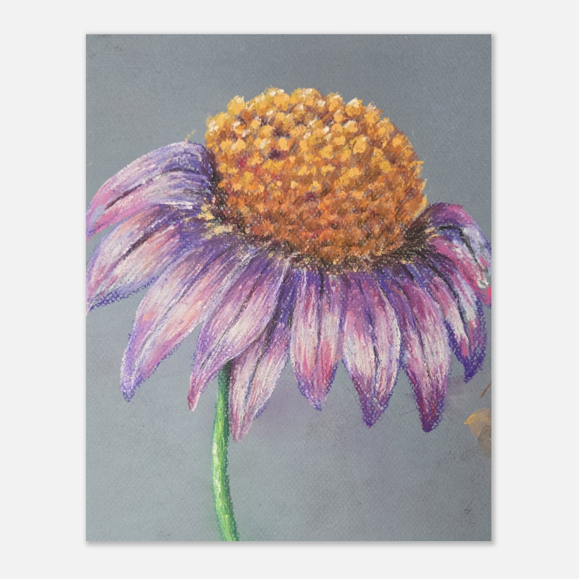 99bec5eb-0fb1-40d4-9c88-ff6532f7daa0