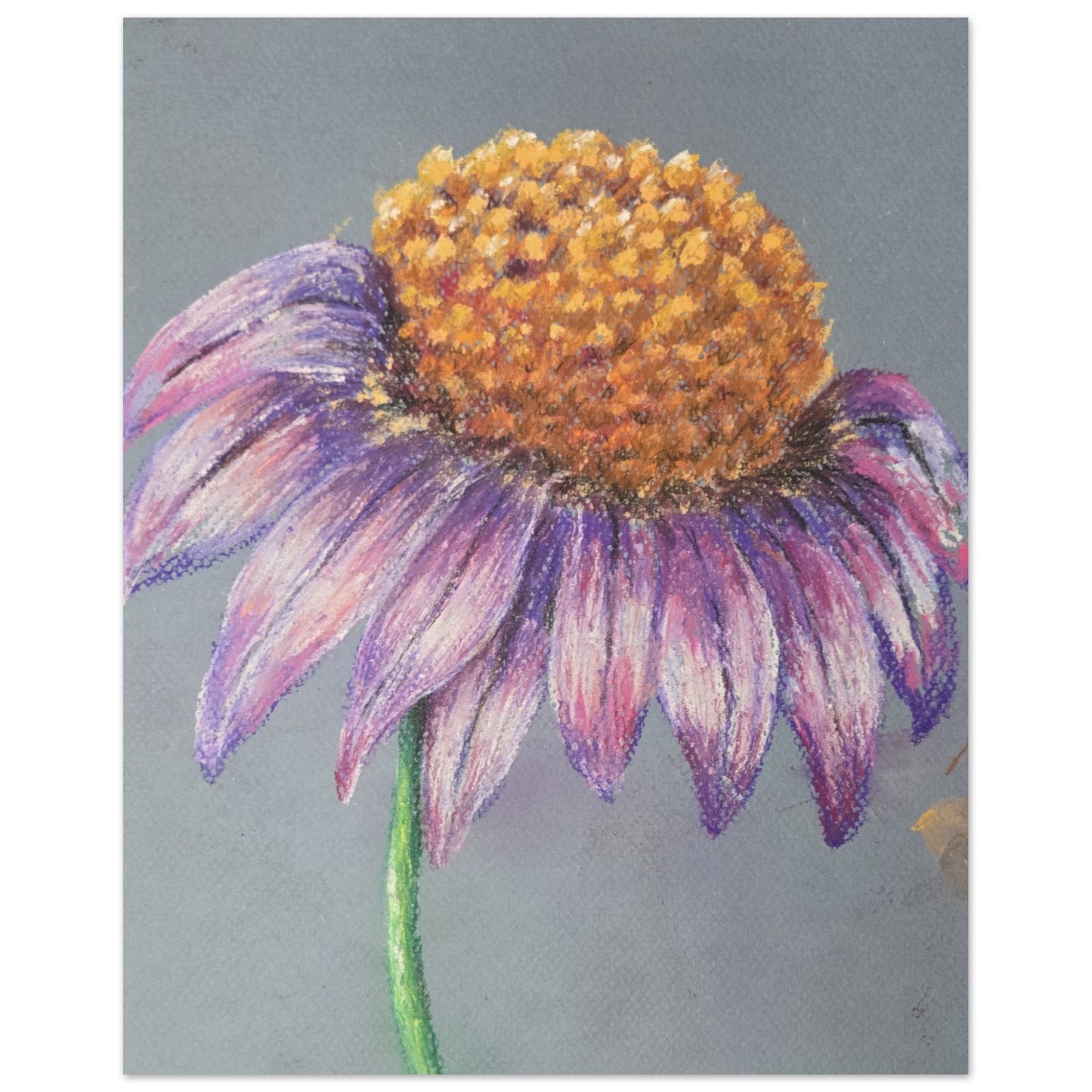 c0f75584-f568-4c0b-96e8-65841e3bfc27