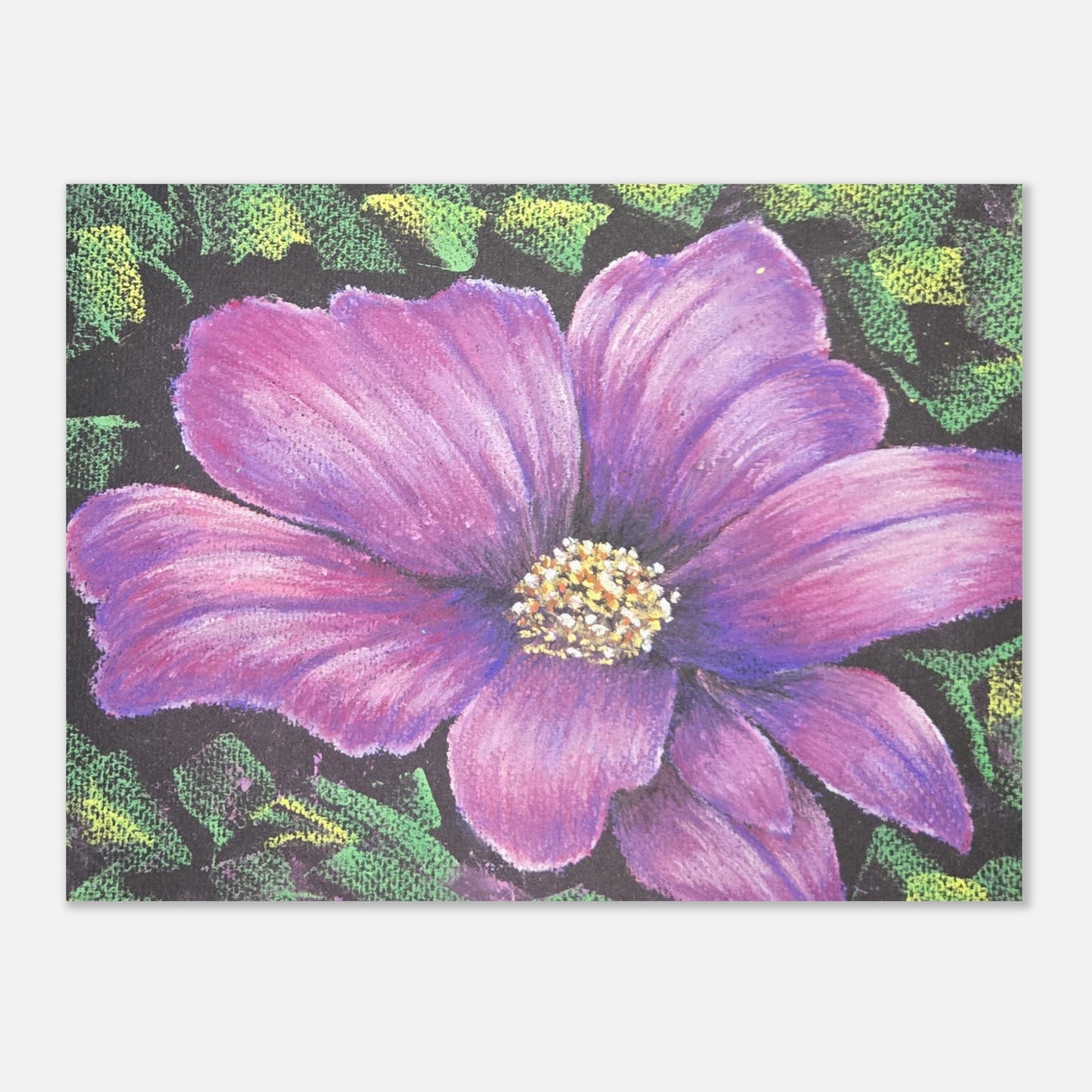 c5699666-eca0-4f30-8ccf-ed6670525a0d