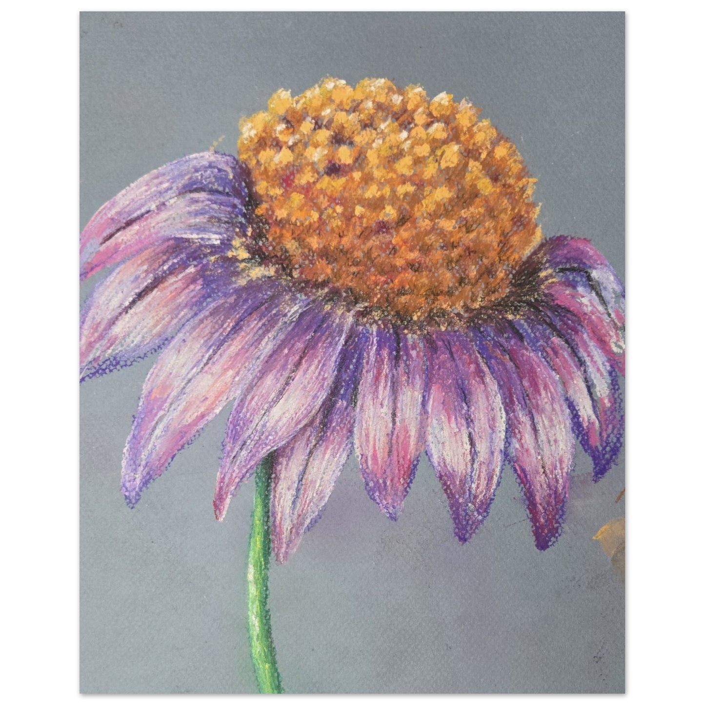 c5f280e1-4538-4257-97ef-6f4d73f3e670